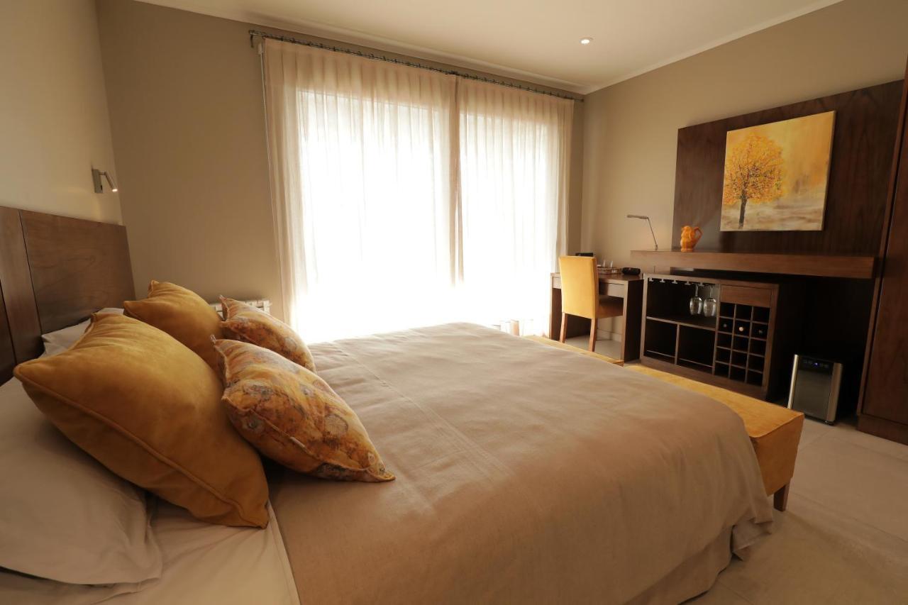 Gaia Lodge Tupungato Extérieur photo